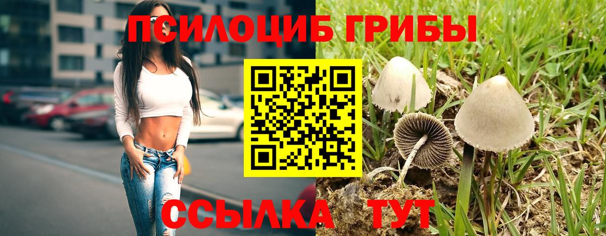 Псилоцибиновые грибы мицелий  Вход с VPN  Нурлат  как найти наркотики  Галлюциногенные грибы MAGIC MUSHROOMS 